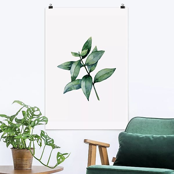 Poster Aquarell Eucalyptus III günstig online kaufen