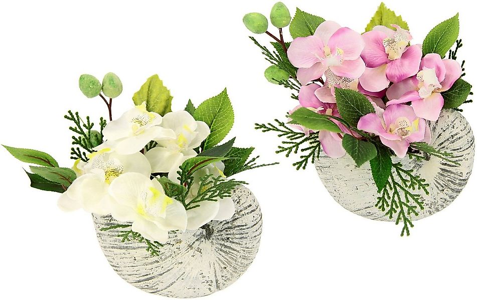 Kunstblume Orchidee, I.GE.A., Höhe 17 cm, 17 cm günstig online kaufen