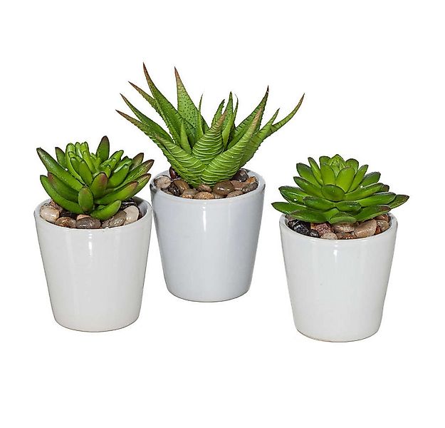 Kunstkaktus Künstlicher Sukkulentenmix im Topf. 3er Set Kunstpflanzen ca.11 günstig online kaufen