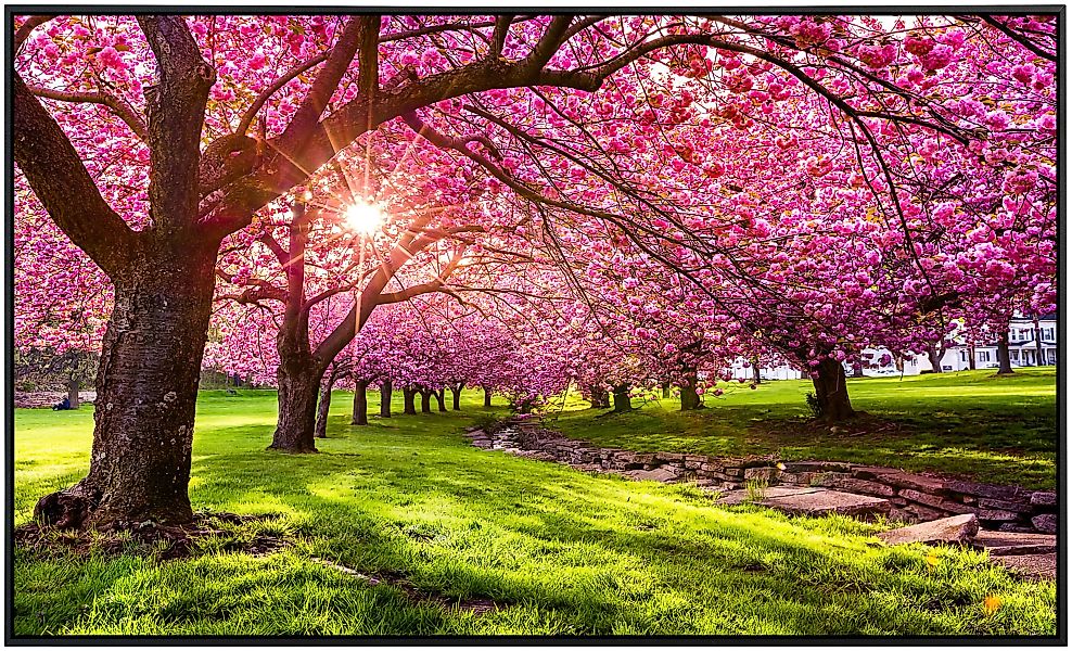 Papermoon Infrarotheizung »Kirschbaumblüte«, sehr angenehme Strahlungswärme günstig online kaufen