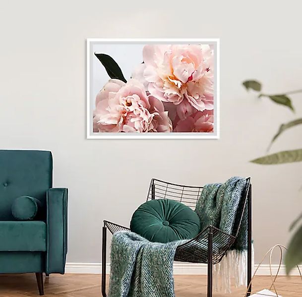 queence Bild »Runa«, Blumen, Rosen, gerahmt günstig online kaufen