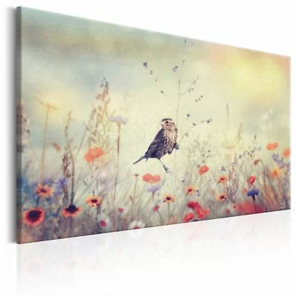 artgeist Wandbild Spring Sonata mehrfarbig Gr. 60 x 40 günstig online kaufen
