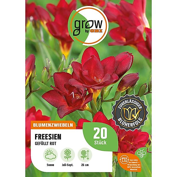 GROW by OBI Freesie Gefüllt Rot Höhe ca. 25 cm Freesia double günstig online kaufen