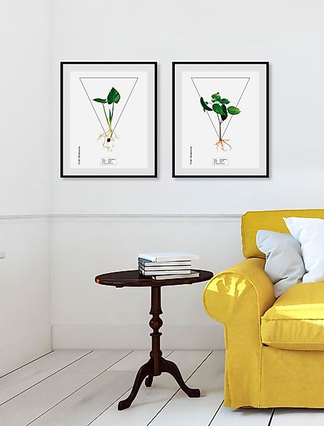 queence Bild »Calla palustrisa« Pflanzen   Pflanzenbilder   Schriftzug 1 St günstig online kaufen