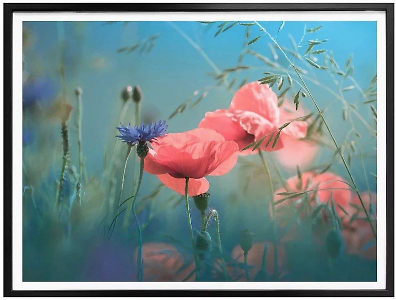 Wall-Art Poster »Wildblumen Aquamarin«, Blumen, (Set, 1 St.) günstig online kaufen