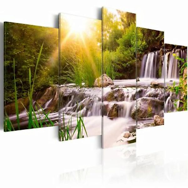 artgeist Wandbild Forest Waterfall mehrfarbig Gr. 200 x 100 günstig online kaufen