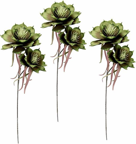 I.GE.A. Kunstblume "Soft-Magnolie", 3er Set günstig online kaufen