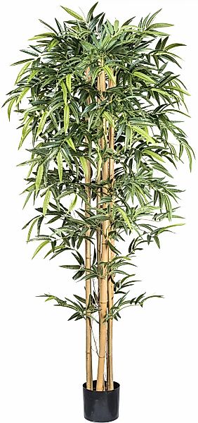 Kunstbaum Bambus Bambus, Creativ green, Höhe günstig online kaufen