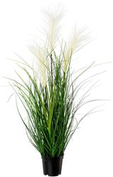 Kunstgras Pampasgras Gras, Creativ green, Höhe günstig online kaufen