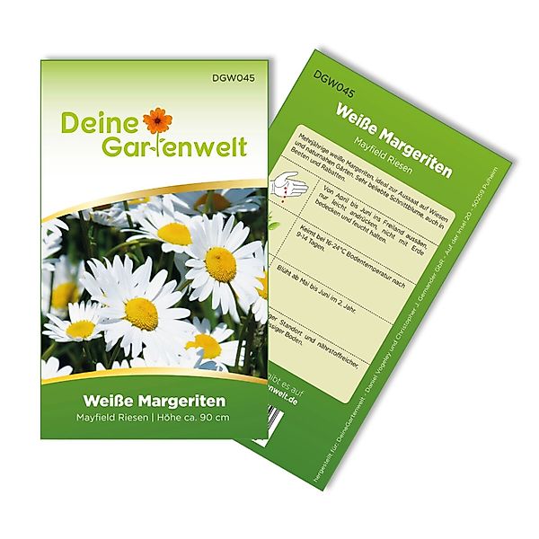 Deine Gartenwelt Margerite Weiß Samen günstig online kaufen