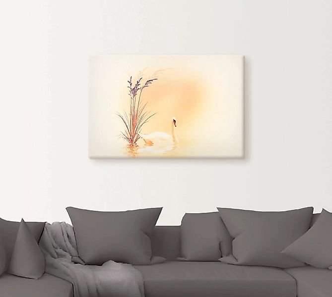 Artland Wandbild "Weisser Schwan", Vögel, (1 St.), als Alubild, Outdoorbild günstig online kaufen