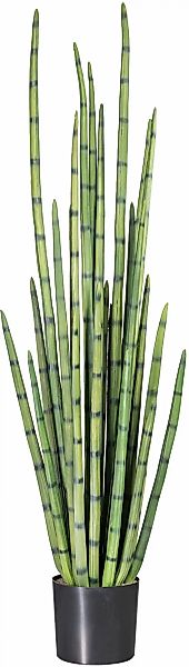 Kunstpflanze Sanseveria, Creativ green, Höhe 140 günstig online kaufen