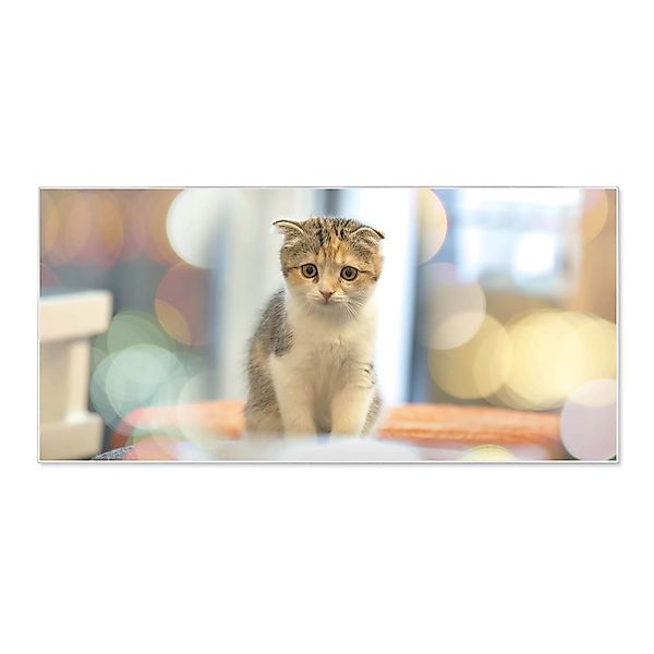 Banjado Magnettafel 78x37cm Magnetwand  Weiß Aus Metall Magnetpinnwand Pinn günstig online kaufen