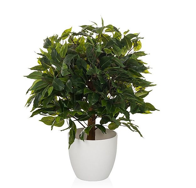 Kunstpflanze Kunstpflanze FICUS II Kunststoff Birke, hjh OFFICE, Höhe 65.0 günstig online kaufen