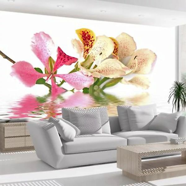 artgeist Fototapete Tropische Blumen (bauhinia) mehrfarbig Gr. 300 x 231 günstig online kaufen