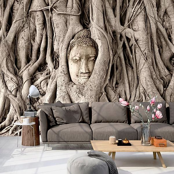 Fototapete - Buddha's Tree günstig online kaufen