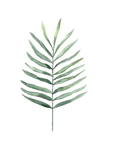 Poster / Leinwandbild - Mantika Botanical Farn günstig online kaufen