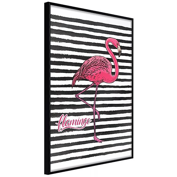 Poster - Flamingo On Striped Background günstig online kaufen