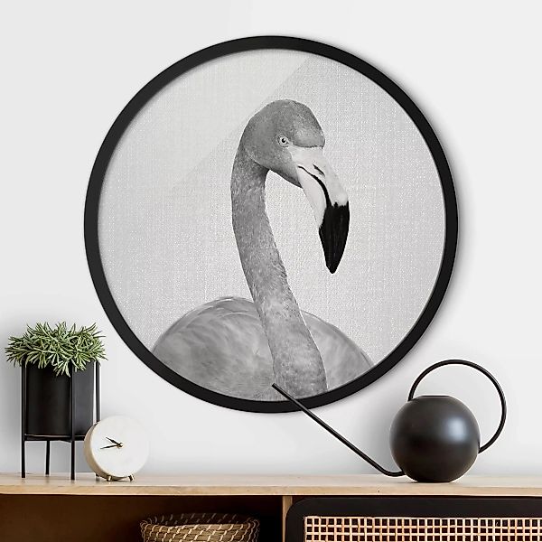 Rundes Gerahmtes Bild Flamingo Fabian Schwarz Weiß günstig online kaufen