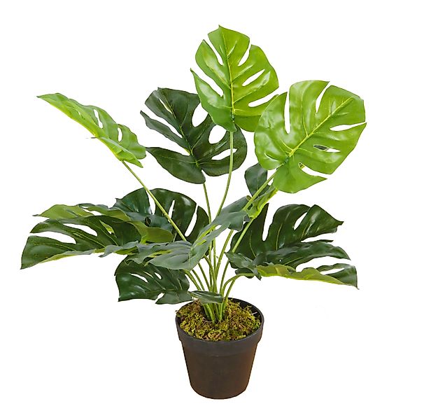 Künstliche Zimmerpflanze Deko Kunstpflanze Monstera - günstig online kaufen