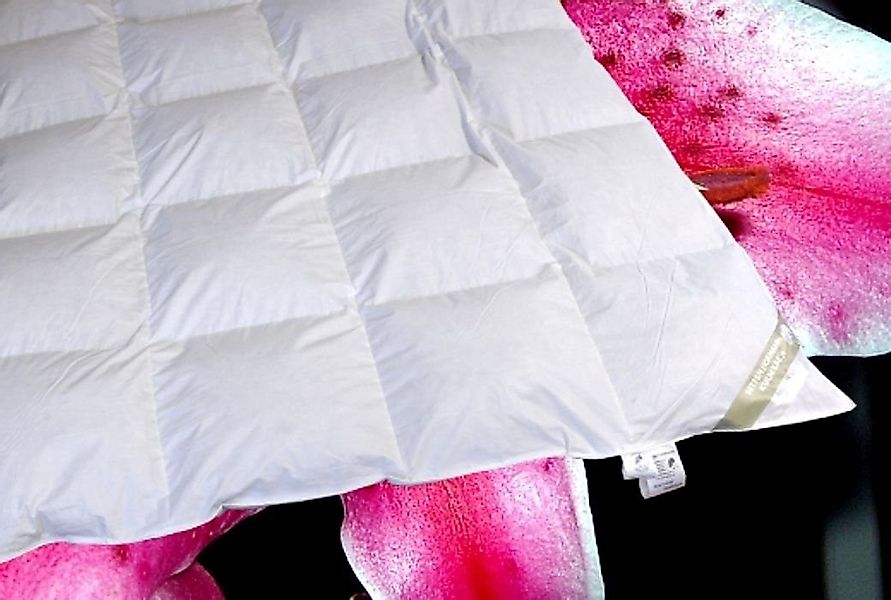 Betten Hofmann 4-Jahreszeitenbett Betten Hofmann Canada günstig online kaufen