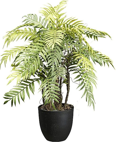 Kunstpflanze Farnpflanze Baumfarn, Creativ green, Höhe 60 cm, mit Deko-Kies günstig online kaufen