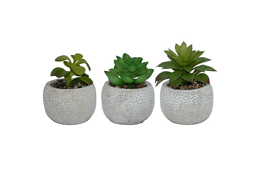Kunstpflanze 3er Set Betontöpfe mit künstlichen Pflanzen, UNUS HOME günstig online kaufen