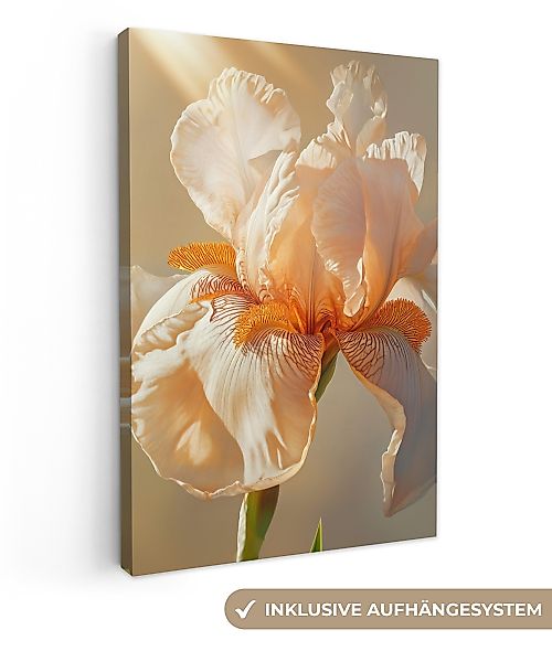 OneMillionCanvasses® Leinwandbild Nahaufnahme - Orange - günstig online kaufen