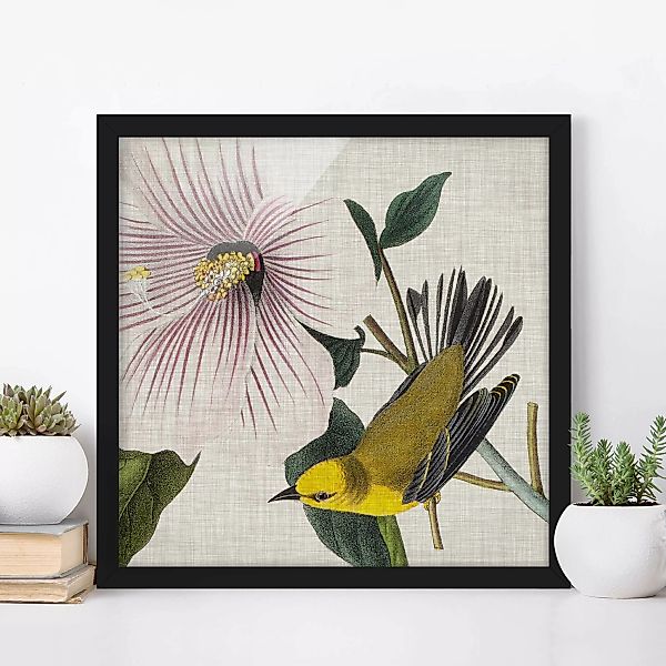 Bild mit Rahmen Blumen - Quadrat Vogel auf Leinen Gelb I günstig online kaufen
