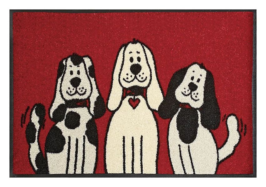 wash+dry Fußmatte THREE DOGS waschbar 50x75cm günstig online kaufen