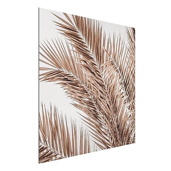 Alu-Dibond Bild Bronzefarbene Palmenwedel günstig online kaufen