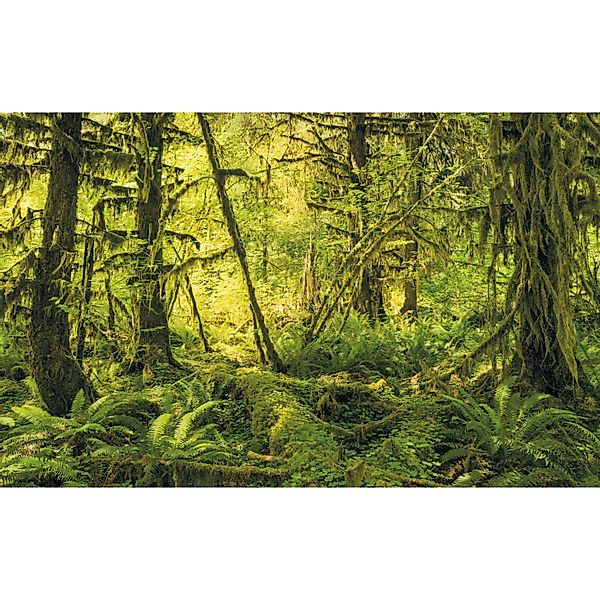 Komar Fototapete Vlies Ancient World  400 x 250 cm günstig online kaufen
