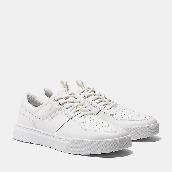 Timberland Maple Grove LOW LACE UP günstig online kaufen