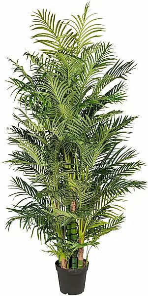 Kunstpalme Arecapalme Palme, Creativ green, Höhe günstig online kaufen