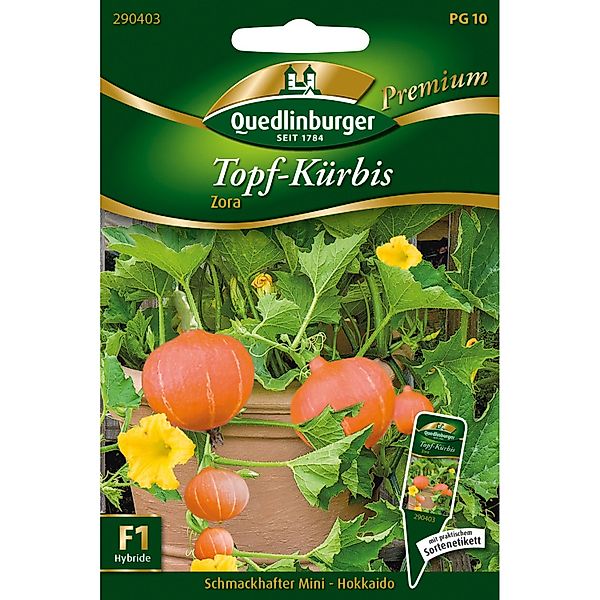 Quedlinburger Topf-Hokkaido-Kürbis Zora Loses Saatgut günstig online kaufen