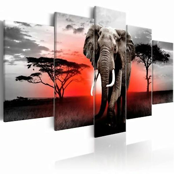 artgeist Wandbild Lonely Elephant mehrfarbig Gr. 200 x 100 günstig online kaufen