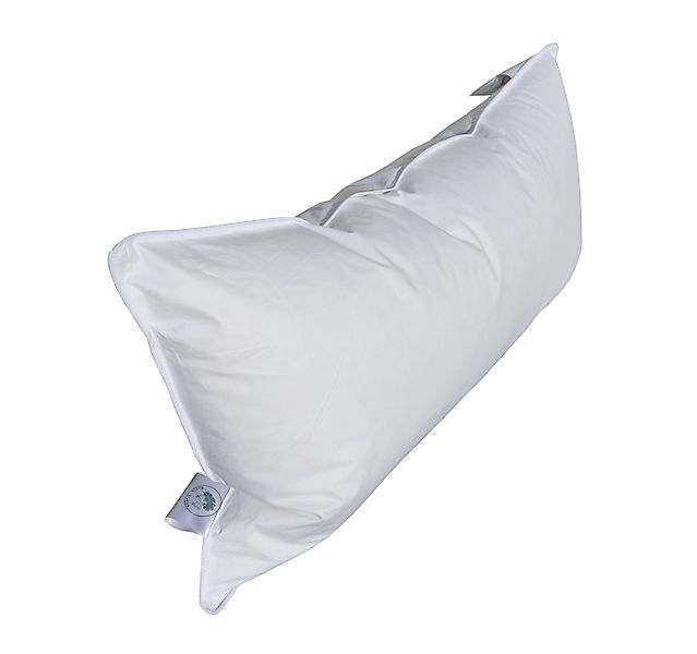 Betten Hofmann Kopfkissen Hofmann Franken kuschelweiches Daunenkissen Kopfk günstig online kaufen