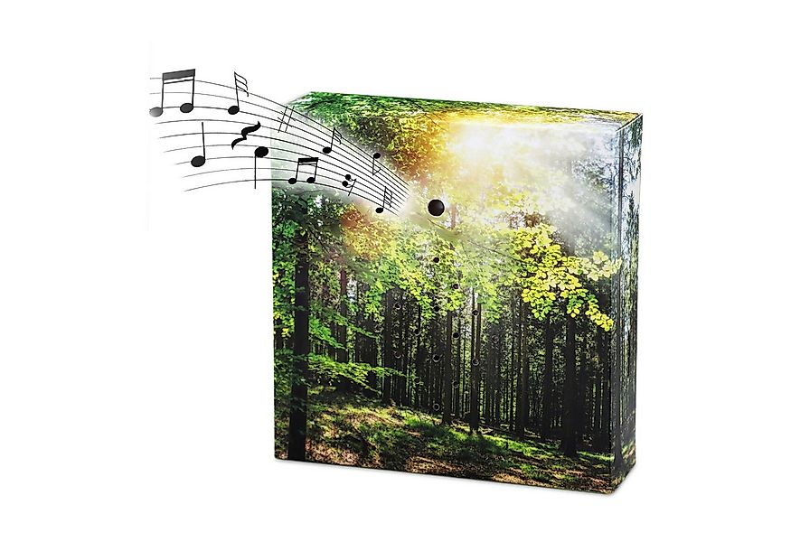 Spetebo Dekoobjekt Vogelgezwitscher Soundbox mit Waldgeräuschen 12 cm (Anza günstig online kaufen