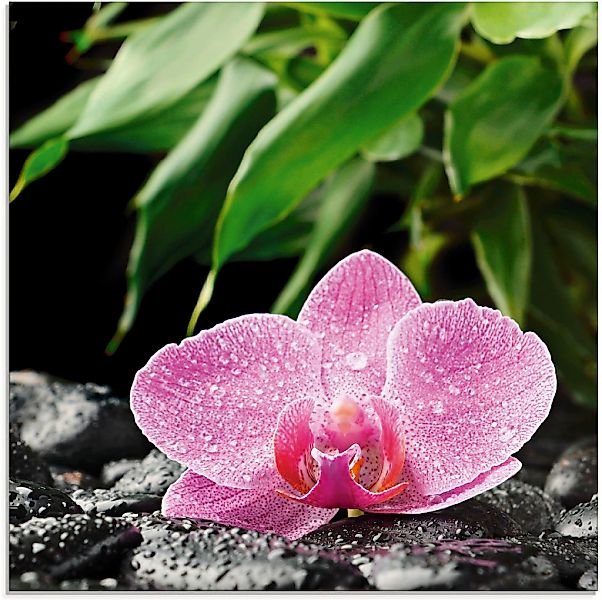 Artland Glasbild "Rosa Orchidee auf schwarzen Zen Steinen" Blumen & Gärten günstig online kaufen