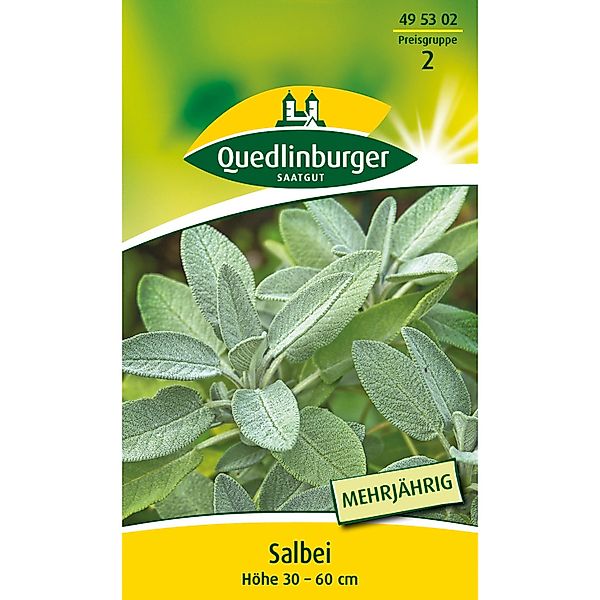 Quedlinburger Salbei günstig online kaufen