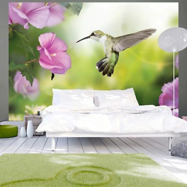 artgeist Fototapete Humming-bird mehrfarbig Gr. 100 x 70 günstig online kaufen