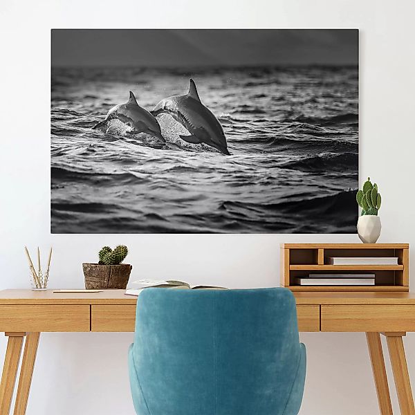 Leinwandbild Schwarz-Weiß - Querformat Zwei springende Delfine günstig online kaufen