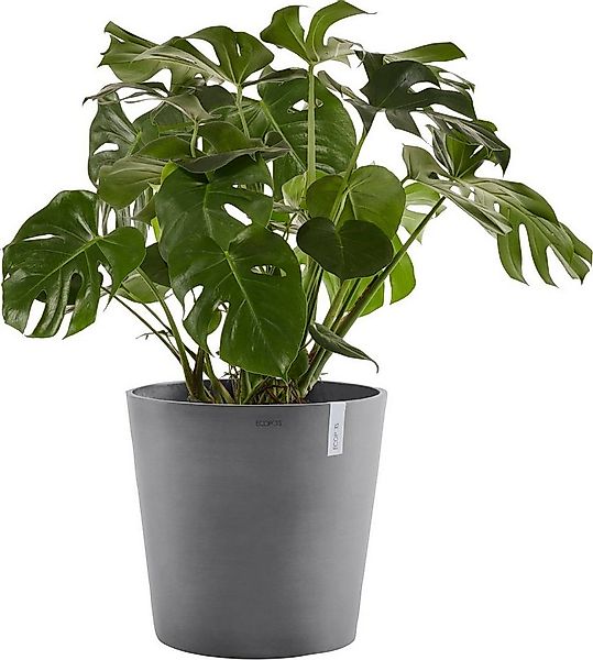 ECOPOTS Blumentopf AMSTERDAM Grey, BxTxH: 50x50x43,8 cm, mit Wasserreservoi günstig online kaufen