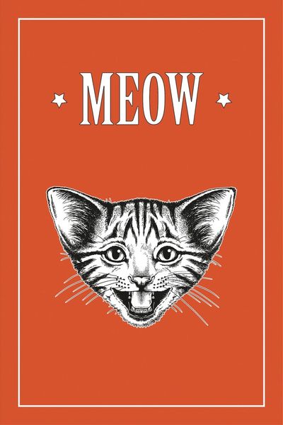 queence Leinwandbild »Katze MEOW« Katze   Katzen   Katzenbilder   Kunst   M günstig online kaufen