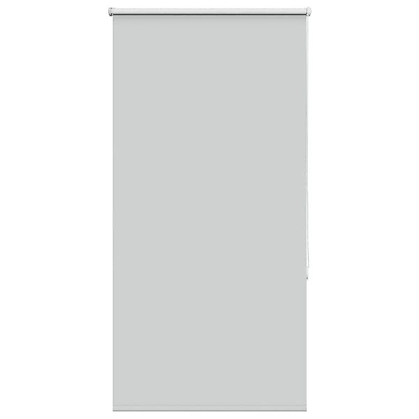 Rollo Verdunkelungsrollo Hellgrau 75x130 cm Stoffbreite günstig online kaufen