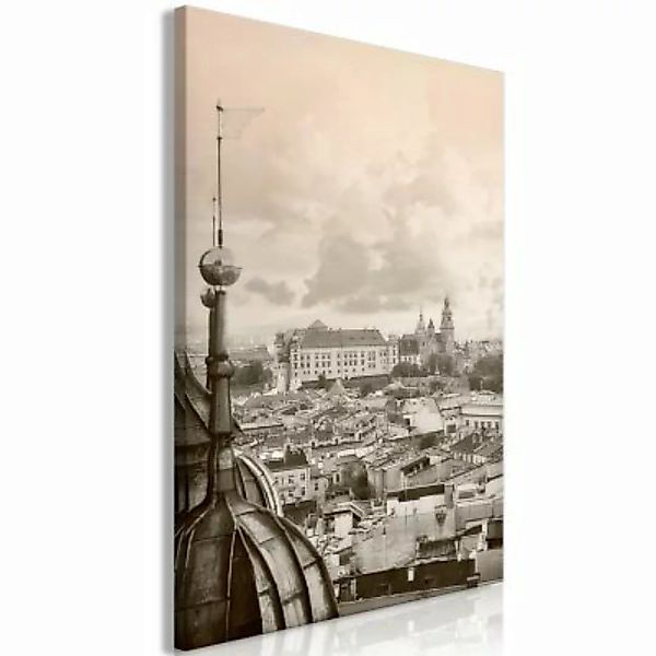 artgeist Wandbild Cracow: Royal Castle (1 Part) Vertical braun-kombi Gr. 40 günstig online kaufen