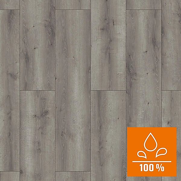 Classen XL Laminat 8 mm Wasserfest Eiche Grau günstig online kaufen