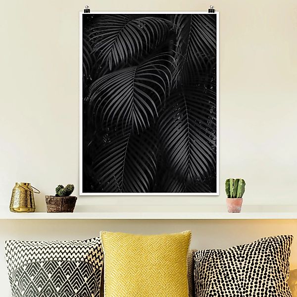 Poster Schwarze Palmwedel günstig online kaufen