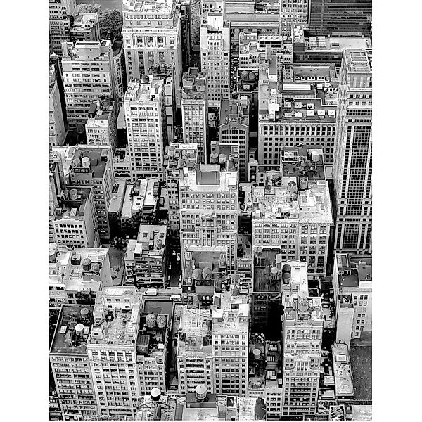 Komar Bild "Roof Top", Städte, (1 St.), Wandbild zur Dekoration - ohne Rahm günstig online kaufen
