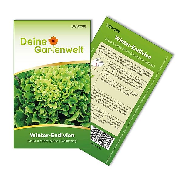 Deine Gartenwelt Winterendivien Gialla A Cuore Samen günstig online kaufen
